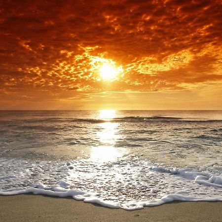 Affordable Two Bedroom Tropical Condo - Private Beach, Pools, Hot Tub 세인트피터즈버그 외부 사진