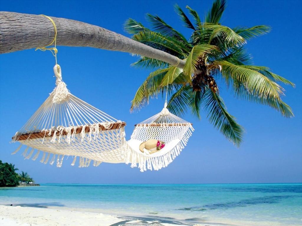 Affordable Two Bedroom Tropical Condo - Private Beach, Pools, Hot Tub 세인트피터즈버그 외부 사진